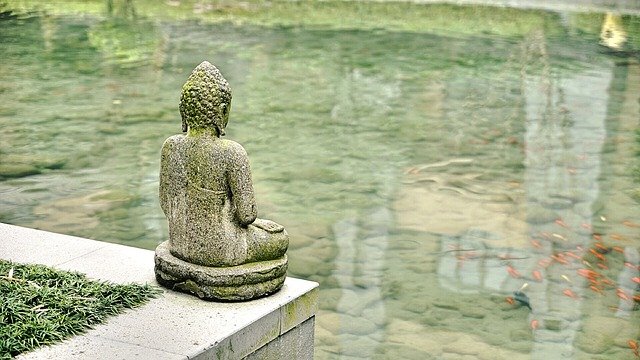 Group meditation session